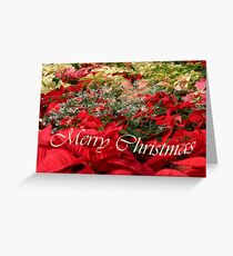 Merry Christmas, Christmas Poinsettia, ne1189c Greeting Card