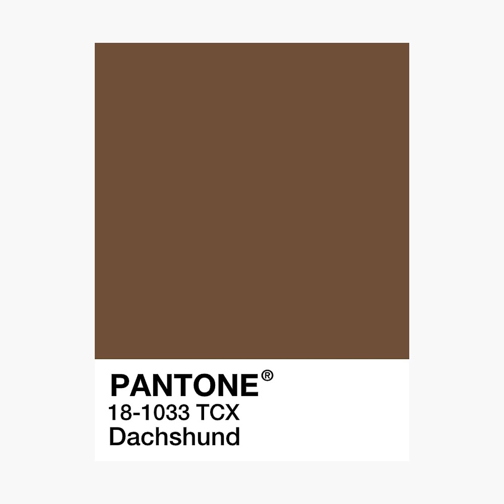 Pantone Dachshund Brown Poster By Mushroom Gorge Redbubble