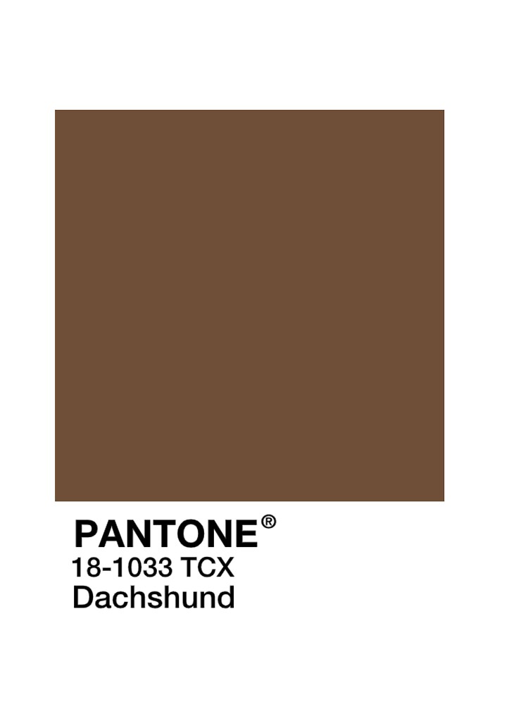 Pantone Dachshund Brown Baby T Shirt By Mushroom Gorge Redbubble