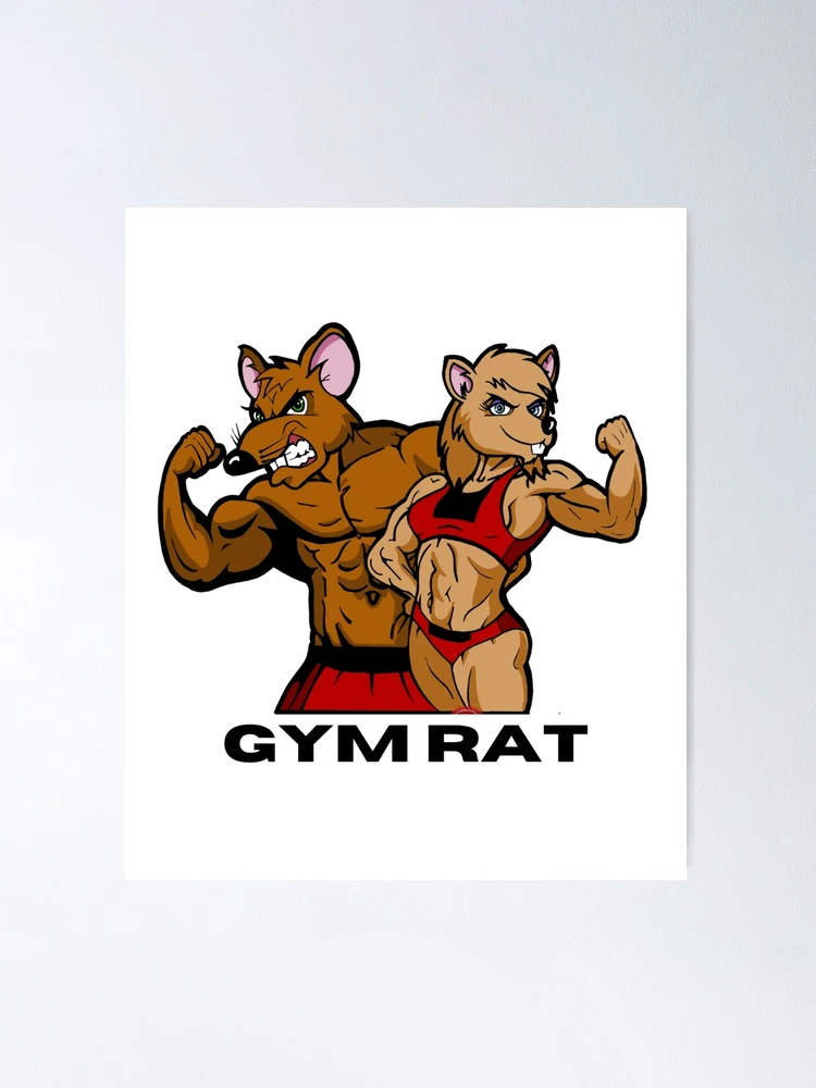 Gym Rat' Poster, picture, metal print, paint by Mesh