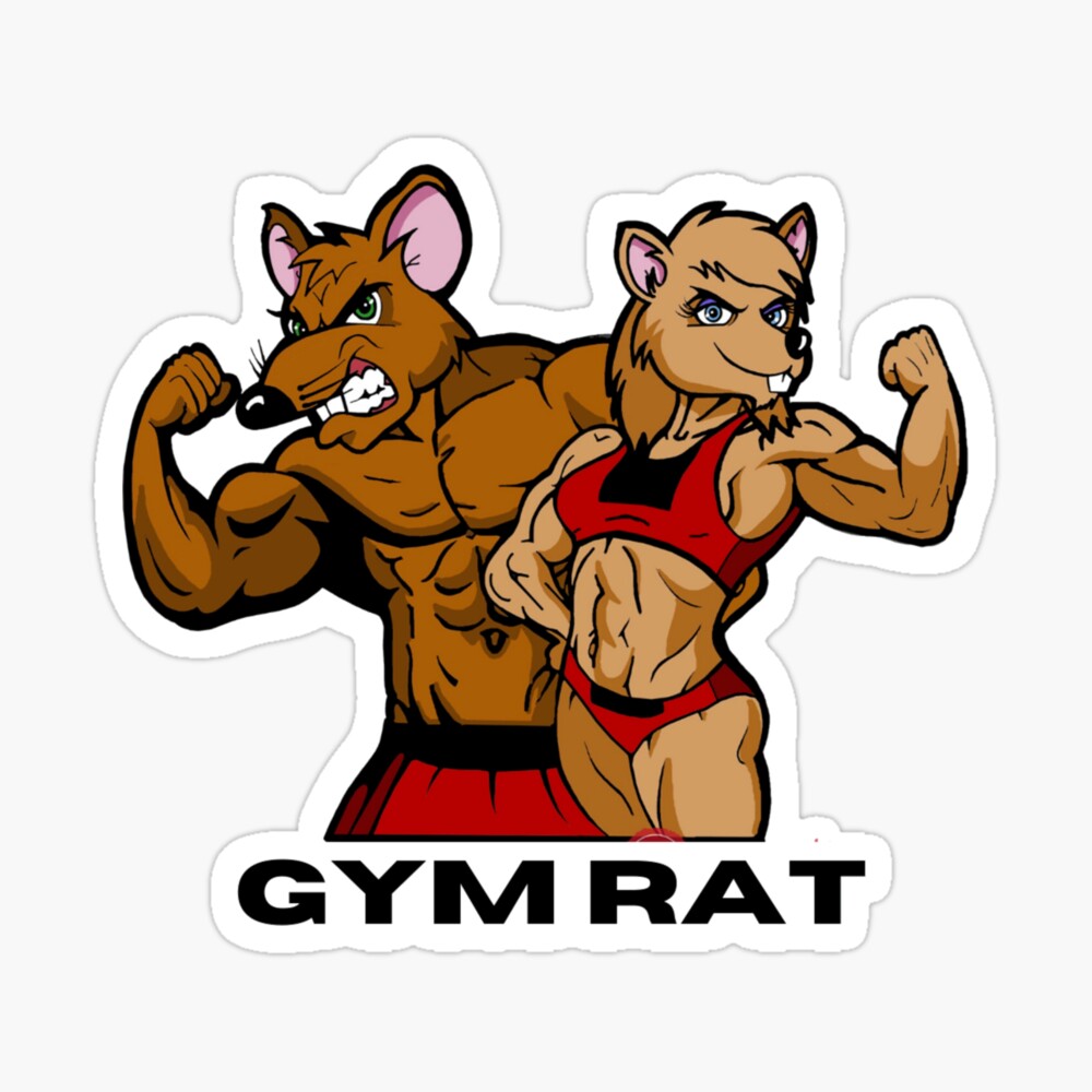 Gym Rat | Postcard