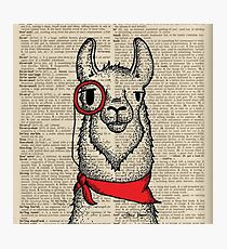 Llama with Monocle Photographic Print