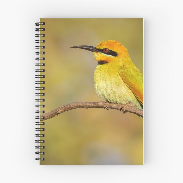 Item preview, Bee Eater 1 by Kevin Smith designed and sold by RockpoolBroome.