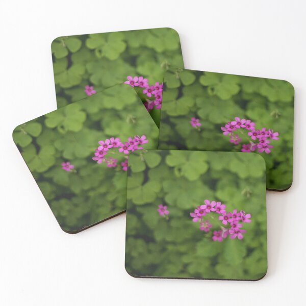 Item preview, D Lawson Photography - Pink Pillow Oxalis Shamrock designed and sold by Danielle Lawson.