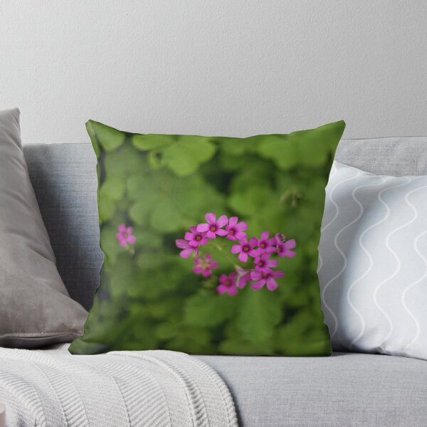 Item preview, D Lawson Photography - Pink Pillow Oxalis Shamrock designed and sold by Danielle Lawson.