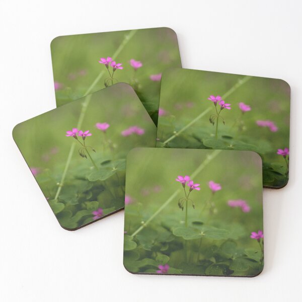 Item preview, D Lawson Photography - Pink Pillow Oxalis Shamrock designed and sold by Danielle Lawson.
