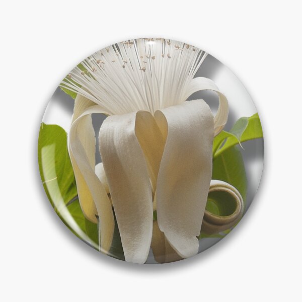 Item preview, Boab Flower by Kevin Smith designed and sold by RockpoolBroome.