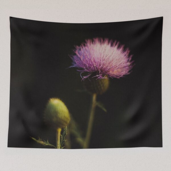 Item preview, D Lawson Photography - Thistle designed and sold by Danielle Lawson.