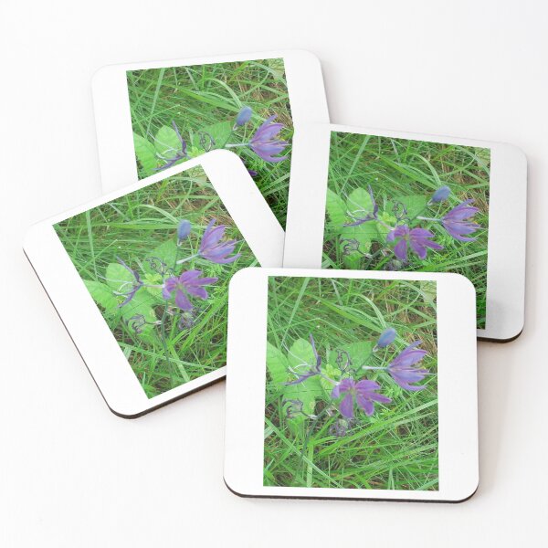 Item preview, Passionate Purple Wild Flowers #2 designed and sold by Tamara McDonnell.