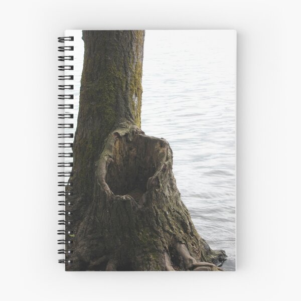 Item preview, Justification designed and sold by Tamara McDonnell.