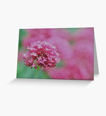 Summer Garden Greeting Card