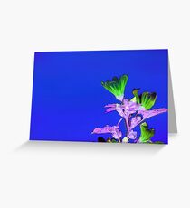 Summer Garden Greeting Card