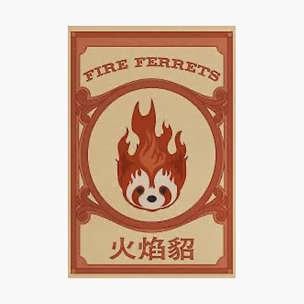 Go Fire Ferrets! Photographic Print