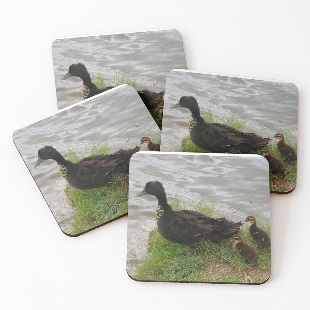 Item preview, Coasters (Set of 4) designed and sold by xanthriah.