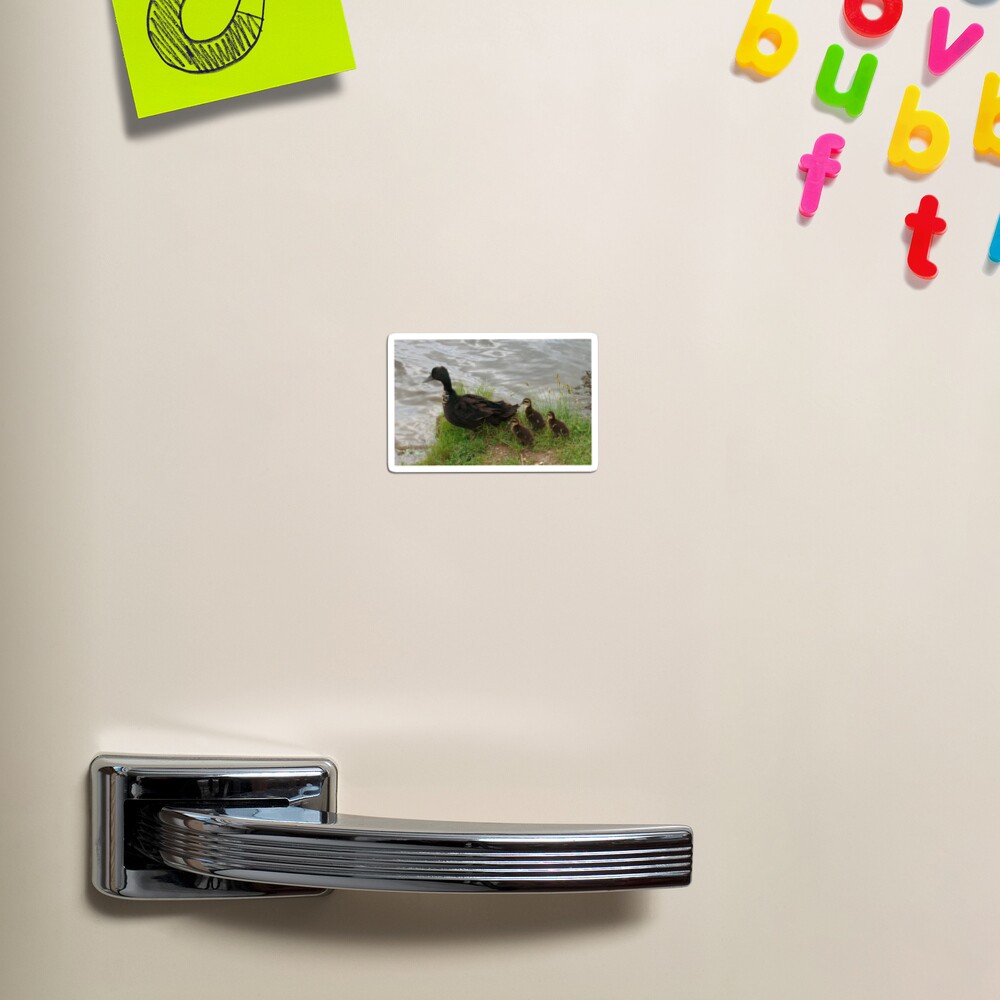 Item preview, Magnet designed and sold by xanthriah.