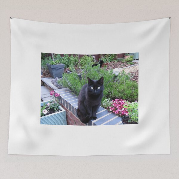Item preview, They shall not pass! (Territorially Conscious Felines) designed and sold by MidnightMelody.