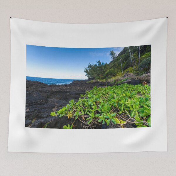 Item preview, Old volcanic rocks designed and sold by Gaël FONTAINE.