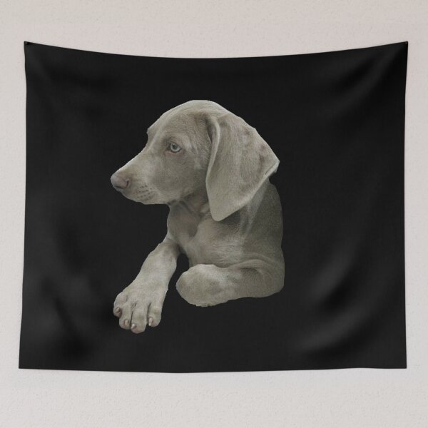 Item preview, Lio the Weimaraner Serious Puppy Face designed and sold by AndApArt.