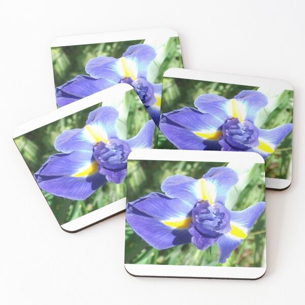 Item preview, Dutch Iris in all its Beauty designed and sold by Tamara McDonnell.