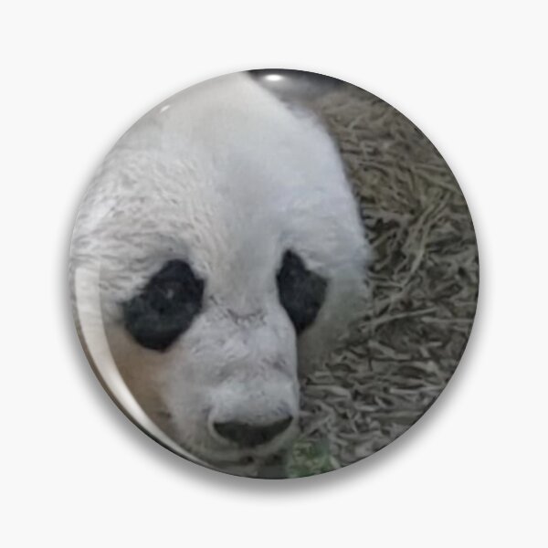Item preview, Panda Adelaide Zoo  designed and sold by Naomi80.