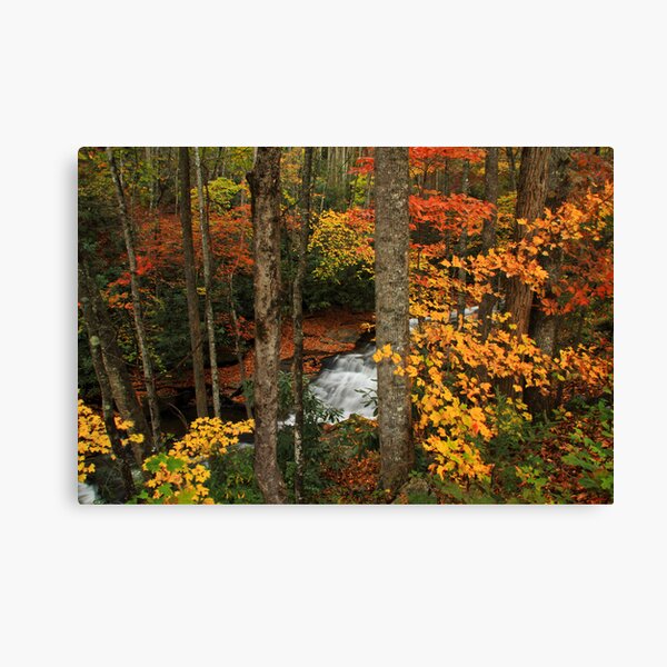 The View From Here Canvas Print