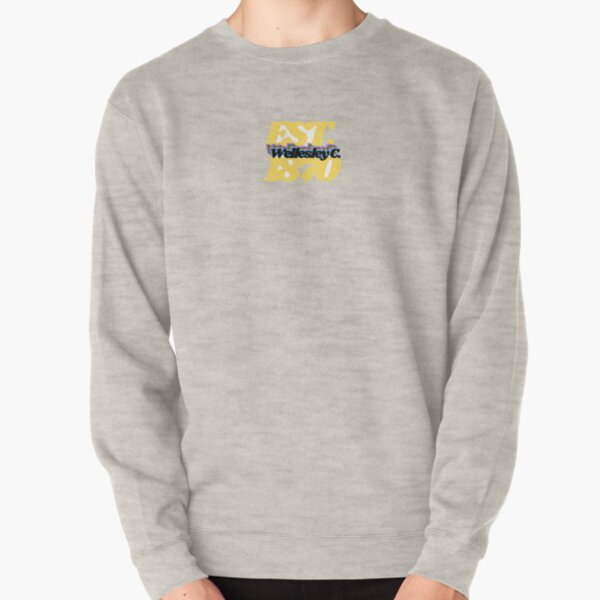 wellesley sweatshirt