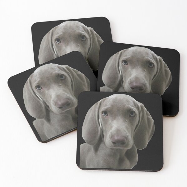 Item preview, Serious Look Weimaraner Puppy Face Front designed and sold by AndApArt.