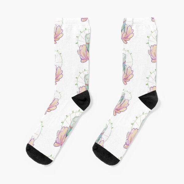 Breathe. We are gonna be ok. Socks