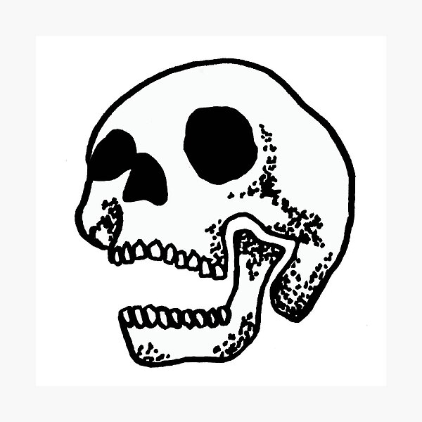 Chi Omega Skull Wall Art for Sale Redbubble