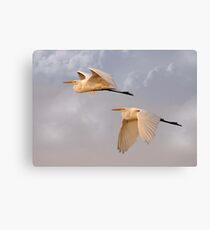 Flying Together At Dawn Canvas Print
