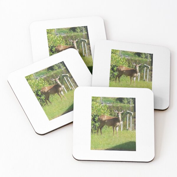 Item preview, Doe  designed and sold by Tamara McDonnell.