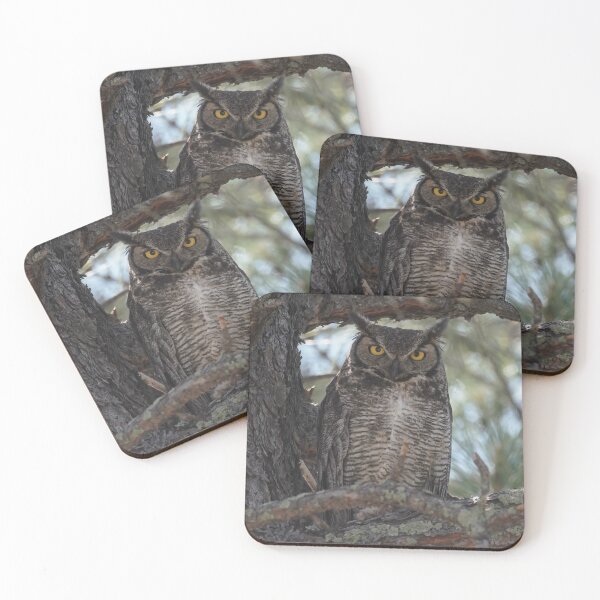 Item preview, Great Horned Owl Looking at Camera designed and sold by MomentofPercep.