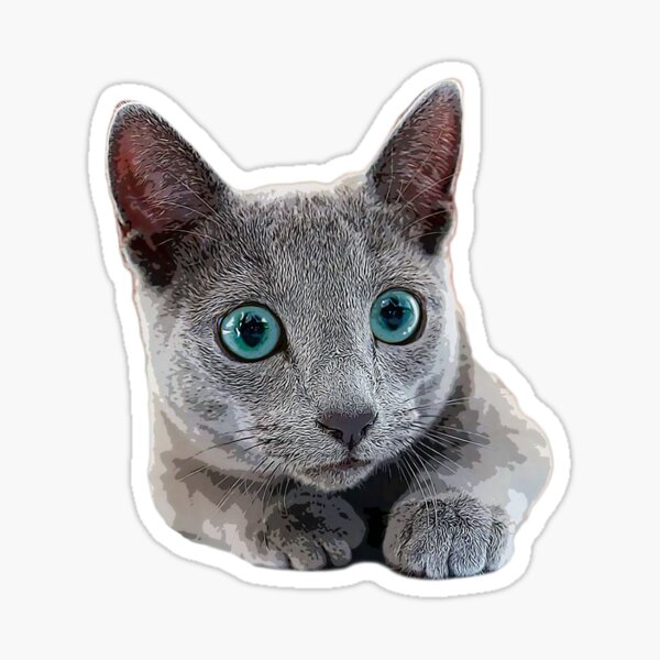 Russian Blue Kitten Figurine 8 in. Farm Animal Resin Playful Cat
