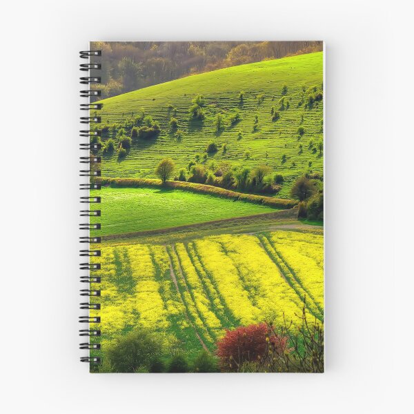 Item preview, Afternoon Rural Light designed and sold by Nigel Finn.