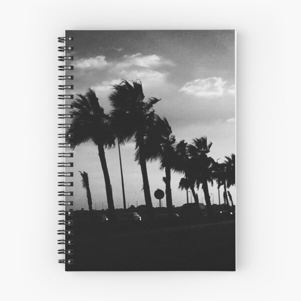 Item preview, afternoon sun, palm trees, & cars designed and sold by Hawkson.