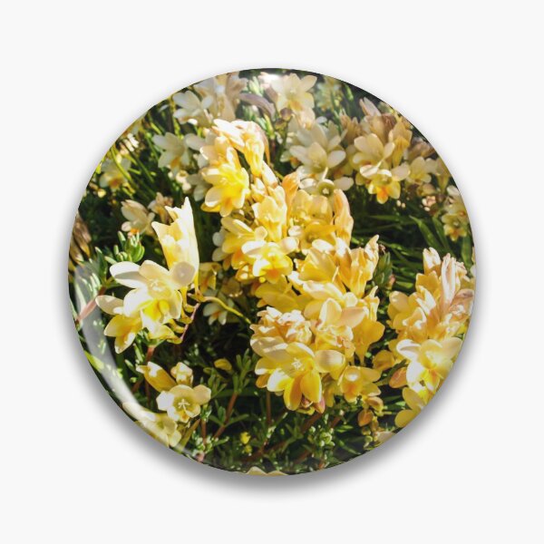 Item preview, Sunny Yellow Freesia's designed and sold by JASPA SWINNERTON.