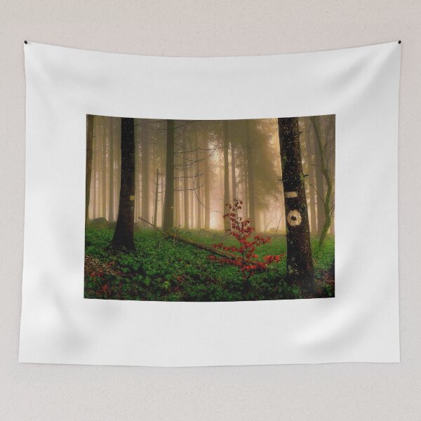 Item preview, Foggy Forest Floor designed and sold by Nigel Finn.