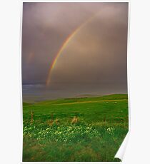 "A Late Afternoon Shower" Poster