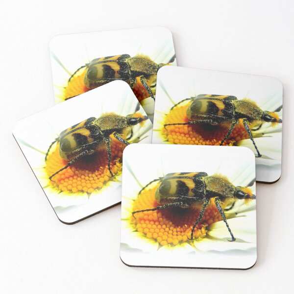 Item preview, Bee Beetle Trichius Fasciatus designed and sold by angel1.