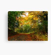 Colour Surround Canvas Print