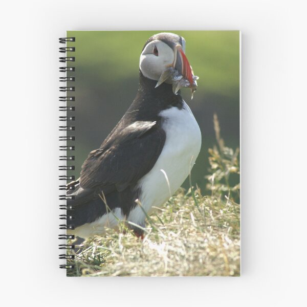 Item preview, puffin designed and sold by Olek-Impek.