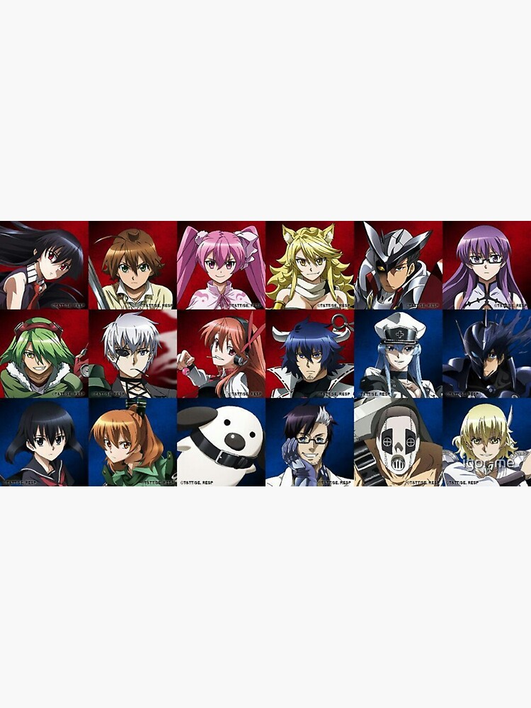 akame ga kill pop vinyl