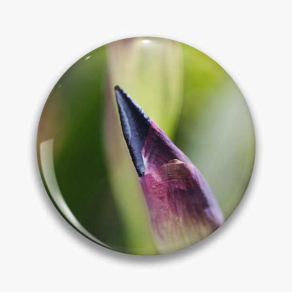 Item preview, Purple Pointed Iris Bud designed and sold by Joy Watson - Natural Light Photography .