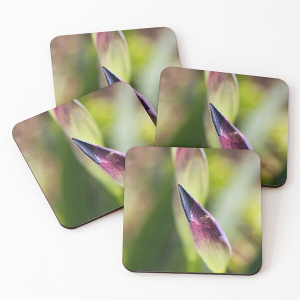 Item preview, Purple Pointed Iris Bud designed and sold by Joy Watson - Natural Light Photography .