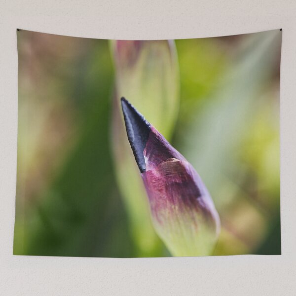 Item preview, Purple Pointed Iris Bud designed and sold by Joy Watson - Natural Light Photography .