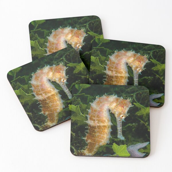 Item preview, Seahorse in Seaweed 1 designed and sold by KarenWillshaw.