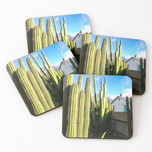 Aperçu de l'œuvre Cool Cacti créée et vendue par JASPA SWINNERTON.