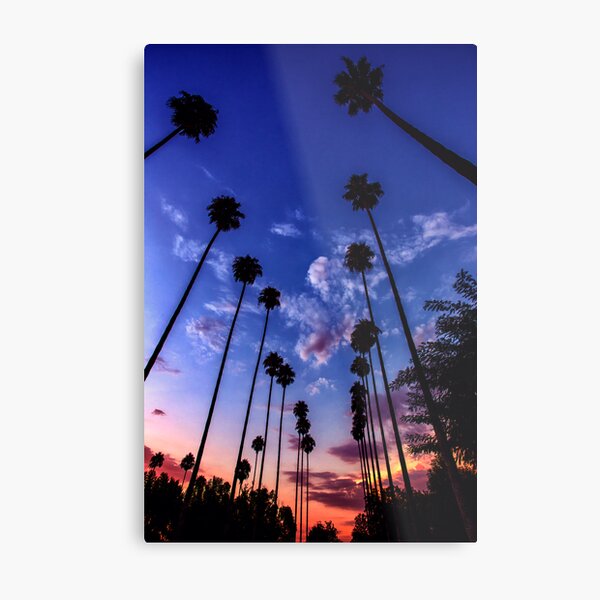 California Sunset Metal Print