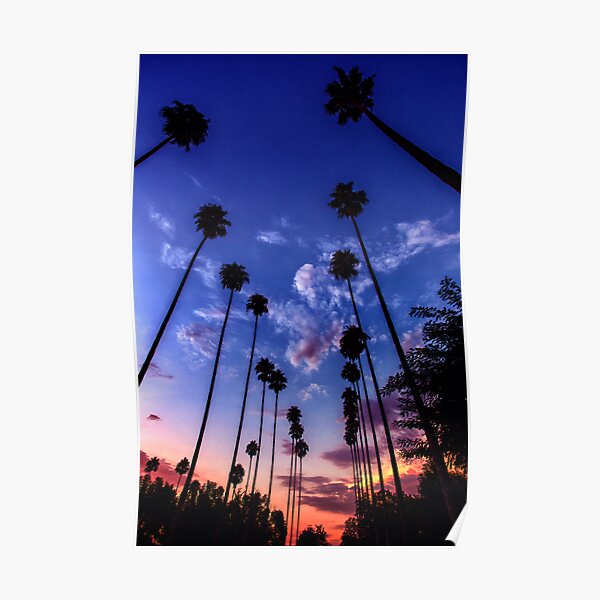 California Sunset Poster