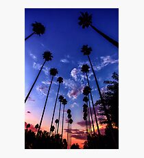 California Sunset Photographic Print